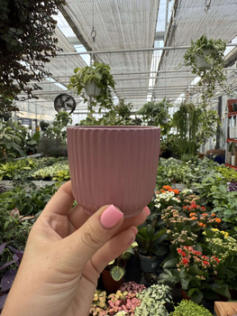 OSŁONKA RYFLOWANA MINI JASNY RÓŻ P6