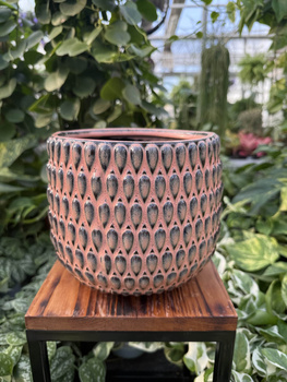 OSŁONKA BOHEME RÓŻ P16