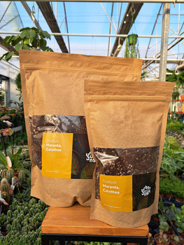 PODŁOŻE MARANTHA, CALATHEA 5 LITRÓW