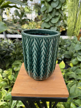 OSŁONKA ZIELONY LAS WYSOKA P12