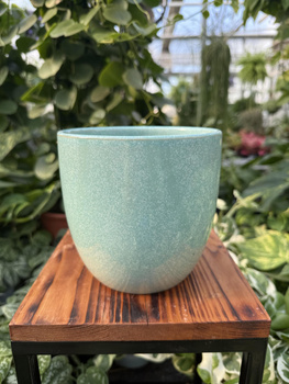 OSŁONKA PACIFIC MIĘTA P13