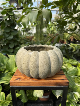 OSŁONKA CERAMICZNA DYNIA O20,5 H10,5