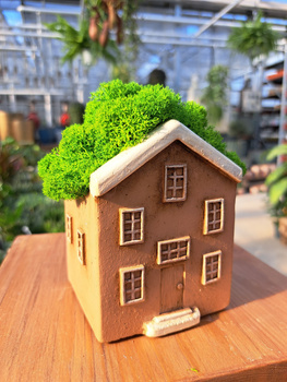 KOMPOZYCJA Z CHROBOTKA RÓŻOWY DOMEK MAŁY 