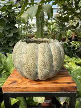 OSŁONKA CERAMICZNA DYNIA O18 H12