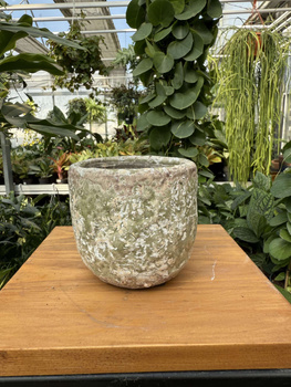 OSŁONKA SILA EGG POT GREEN P8