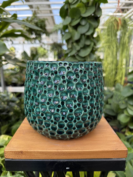 OSŁONKA DROPS POT EMERALD P13,5