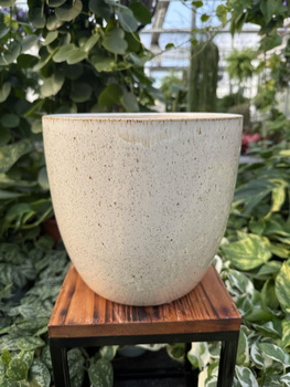 OSŁONKA PACIFIC KREM P20