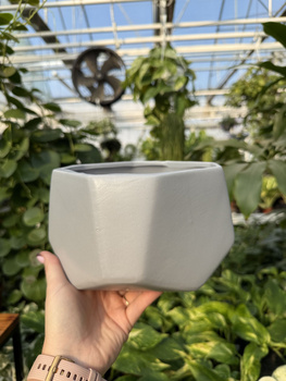 OSŁONKA DIAMENT MISA SZARA