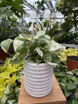 DONICA CERAMICZNA WALEC BOHO BIAŁE P12