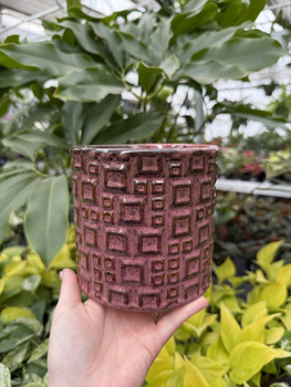 OSŁONKA FIENE RÓŻOWA P14