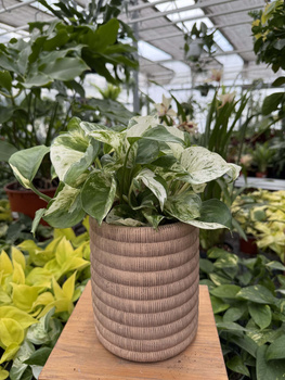 DONICA CERAMICZNA WALEC BOHO PIASKOWE P12