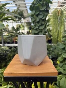 OSŁONKA DIAMENT SZARY