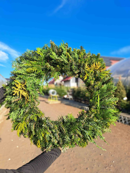 WIANEK MIESZANY JODŁA + CYPRYS 50 CM