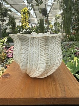 OSŁONKA MUSZLA MAŁA P10