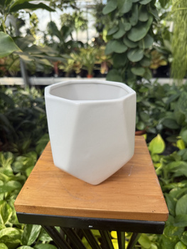 OSŁONKA DIAMENT BIAŁY