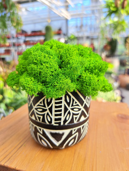 KOMPOZYCJA Z CHROBOTKA CZARNE WZORKI