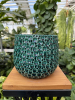 OSŁONKA DROPS POT EMERALD P13,5