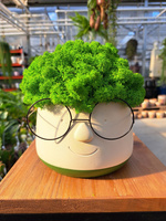 KOMPOZYCJA Z CHROBOTKA OKULARKI ŚREDNIE