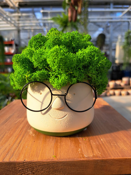 KOMPOZYCJA Z CHROBOTKA OKULARKI MAŁE ZIELONE