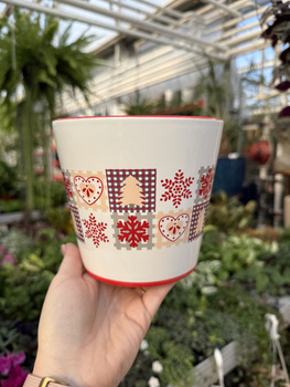 OSŁONKA W PIERNICZKI 