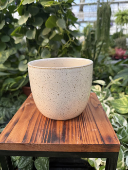 OSŁONKA PACIFIC KREM P12