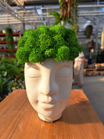 KOMPOZYCJA Z CHROBOTKA GŁOWA MAŁA