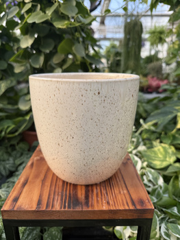 OSŁONKA PACIFIC KREM P16