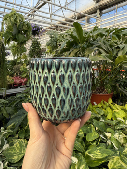 OSŁONKA BOHEME MIĘTA P9