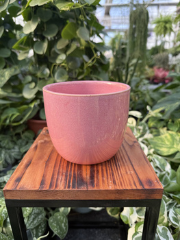 OSŁONKA PACIFIC RÓŻ P12