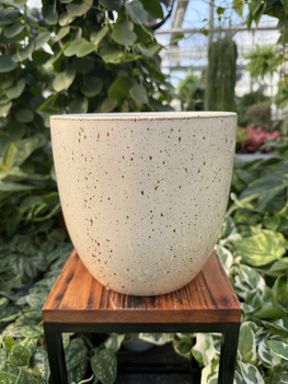 OSŁONKA PACIFIC KREM P18