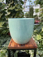 OSŁONKA PACIFIC MIĘTA P18