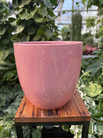 OSŁONKA PACIFIC RÓŻ P18