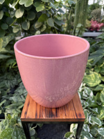 OSŁONKA PACIFIC RÓŻ P20