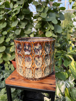 OSŁONKA VIVA CYLINDER BROWN P18