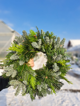 WIANEK  MIESZNY JODŁA + CYPRYS + NOBILIS 40 cm