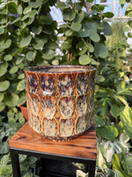 OSŁONKA VIVA CYLINDER BROWN P18