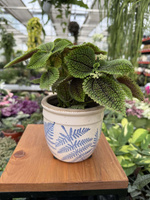 OSŁONKA CERAMICZNA PAPROĆ P10