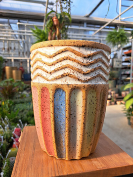 OSŁONKA WYSOKA RAINBOW P15