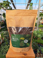 PODŁOŻE AGLAONEMA, DIEFFENBACHIA, CALADIUM  1 LITR