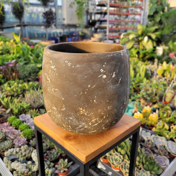 OSŁONKA AMBER P20