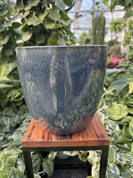 OSŁONKA PACIFIC GRANAT P20