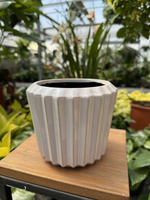 DONICA RYFLOWANA BIAŁA P15