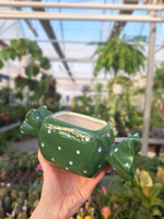 OSŁONKA CUKIEREK ZIELONY