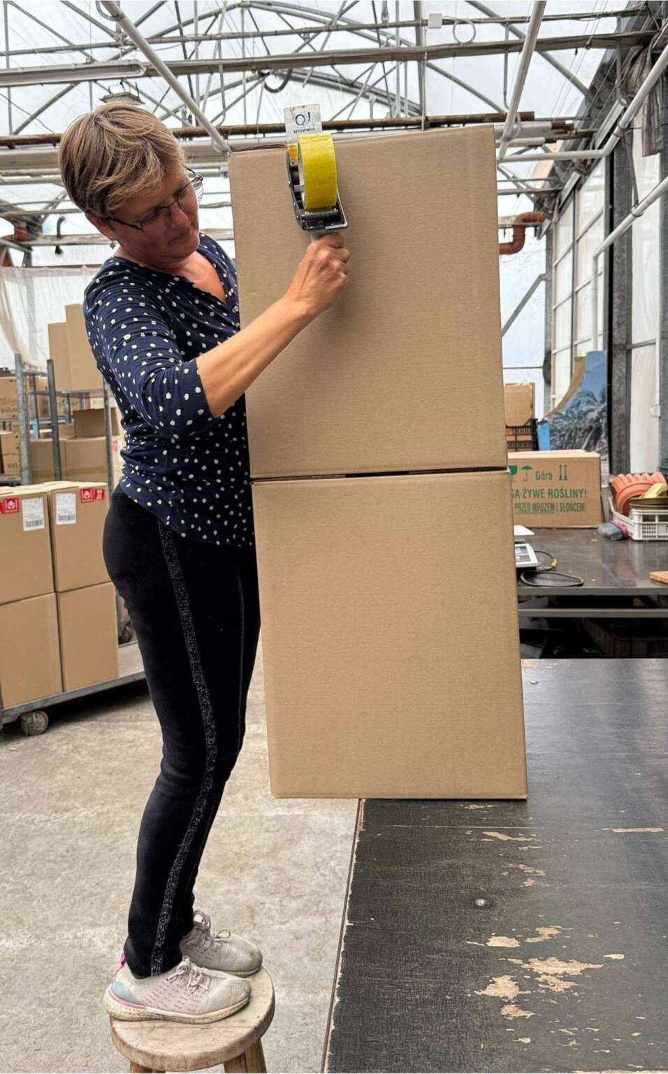 Gajos pakowanie produktów