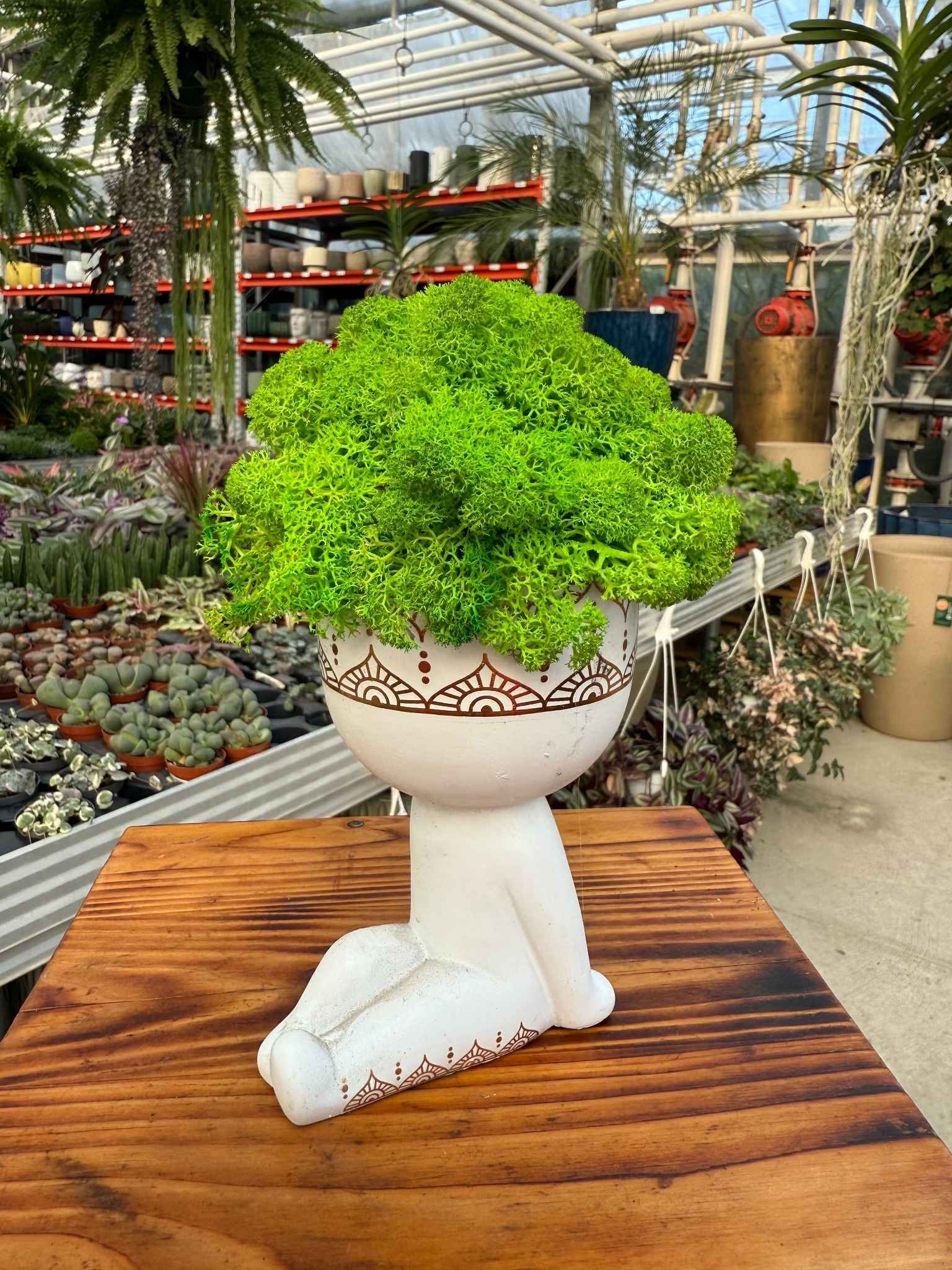 kompozycja z chrobotka